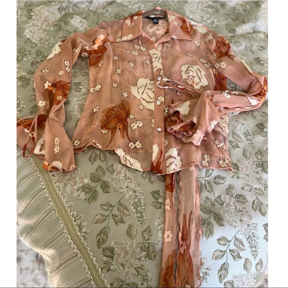JS Boutique Sheer Silk Blouse